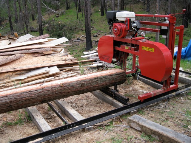 Cedar: yum, that smells good.