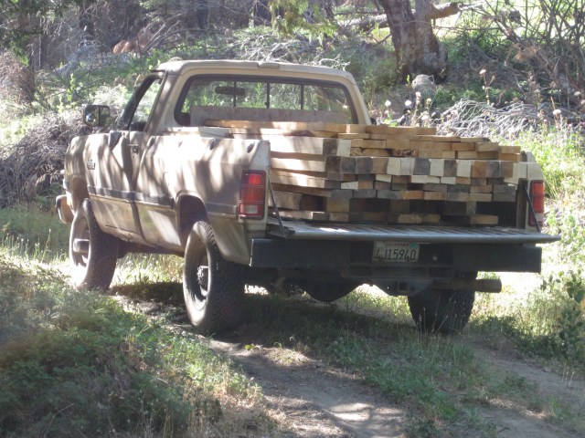 These aged for 3 months, from May to August.