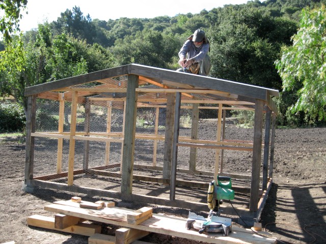 Step 10: Roof.