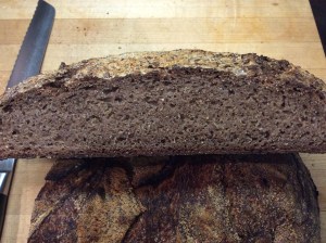 Emmer wheat (Ethiopian Blue Tinge)